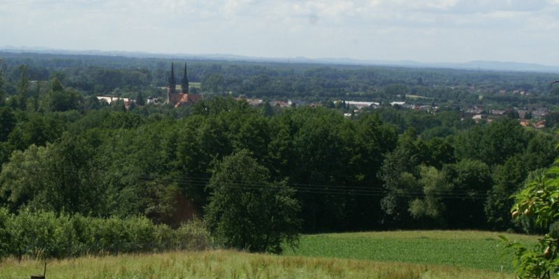 Blick auf Ottersweier