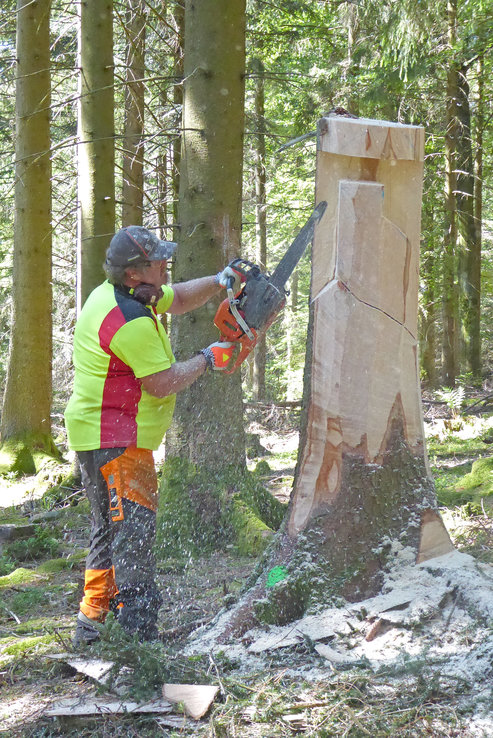 Holzstamm wird gesägt